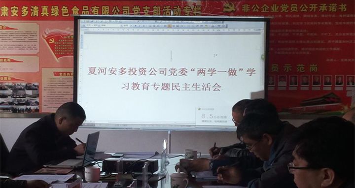 夏河安多投資公司黨委召開“兩學一做”學習教育